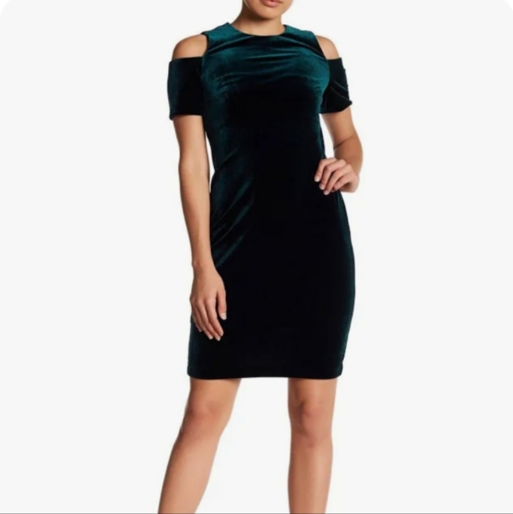 Calvin Klein Emerald Green Crushed Velvet Dress